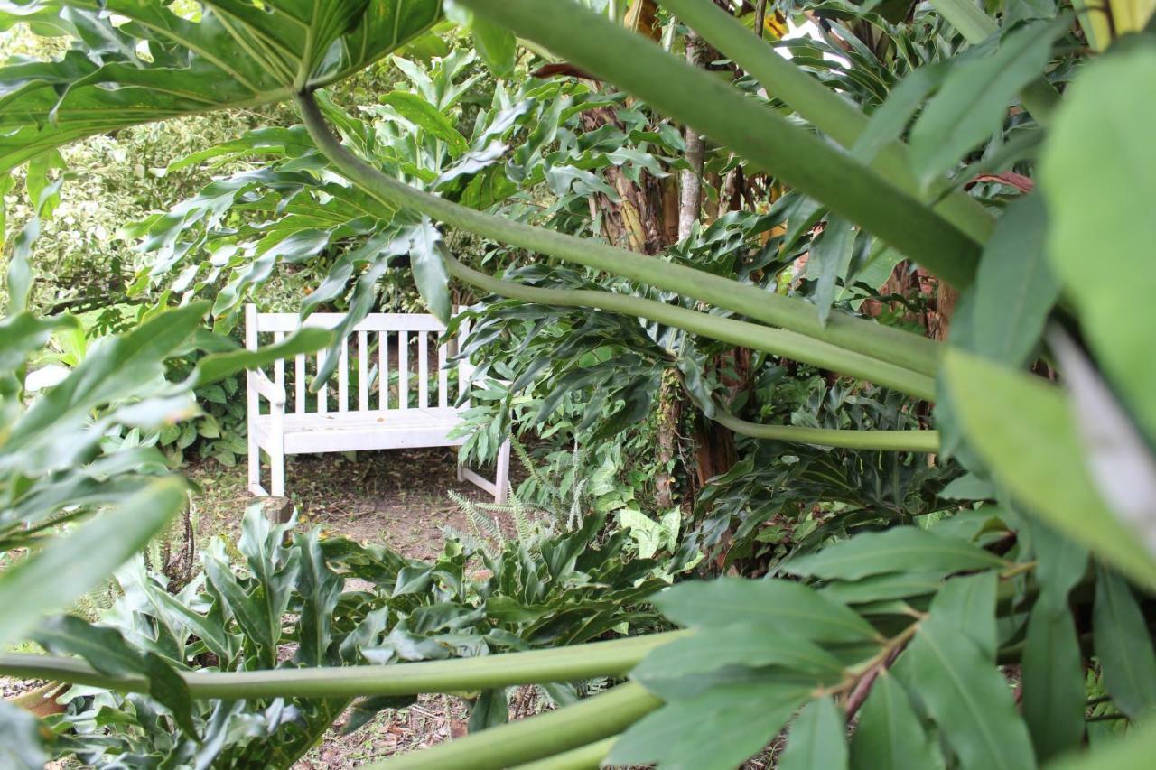 Pousada Habitat Marinho Imbituba  Buitenkant foto